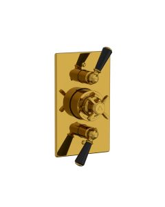 Lefroy Brooks Godolphin Black Lever Conc Therm Dual Flow Control Valve Pol Brass - Small Image
